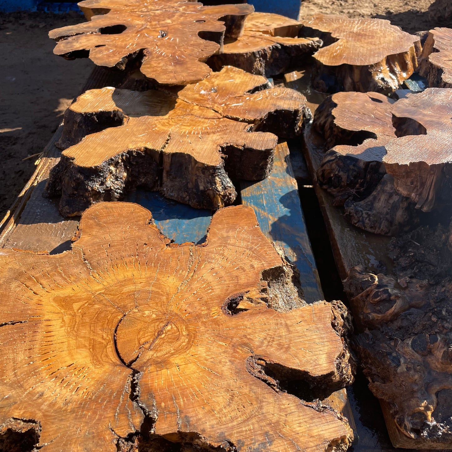 Small Olive Wood Cookies