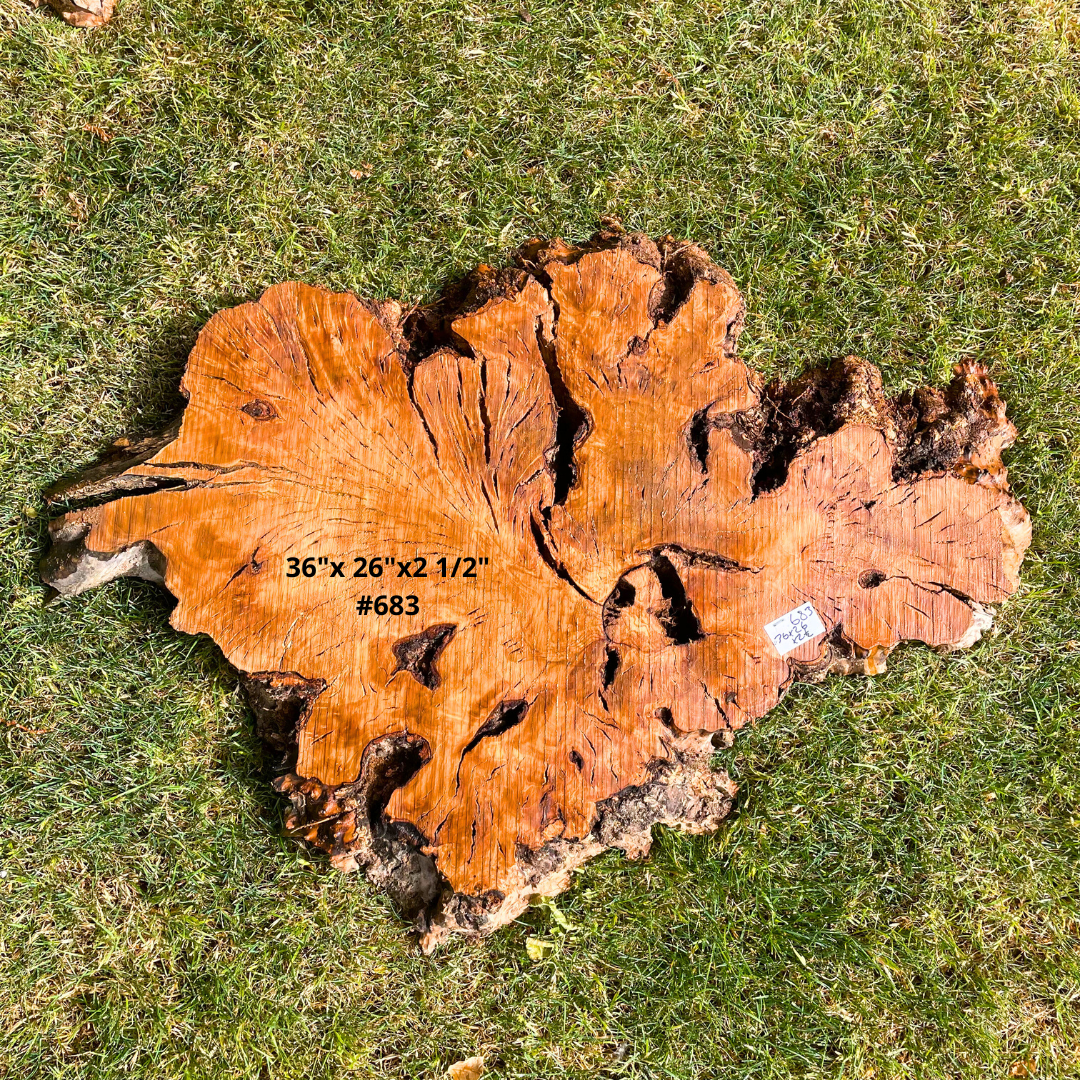 36"x 26"x2 1/2" #683