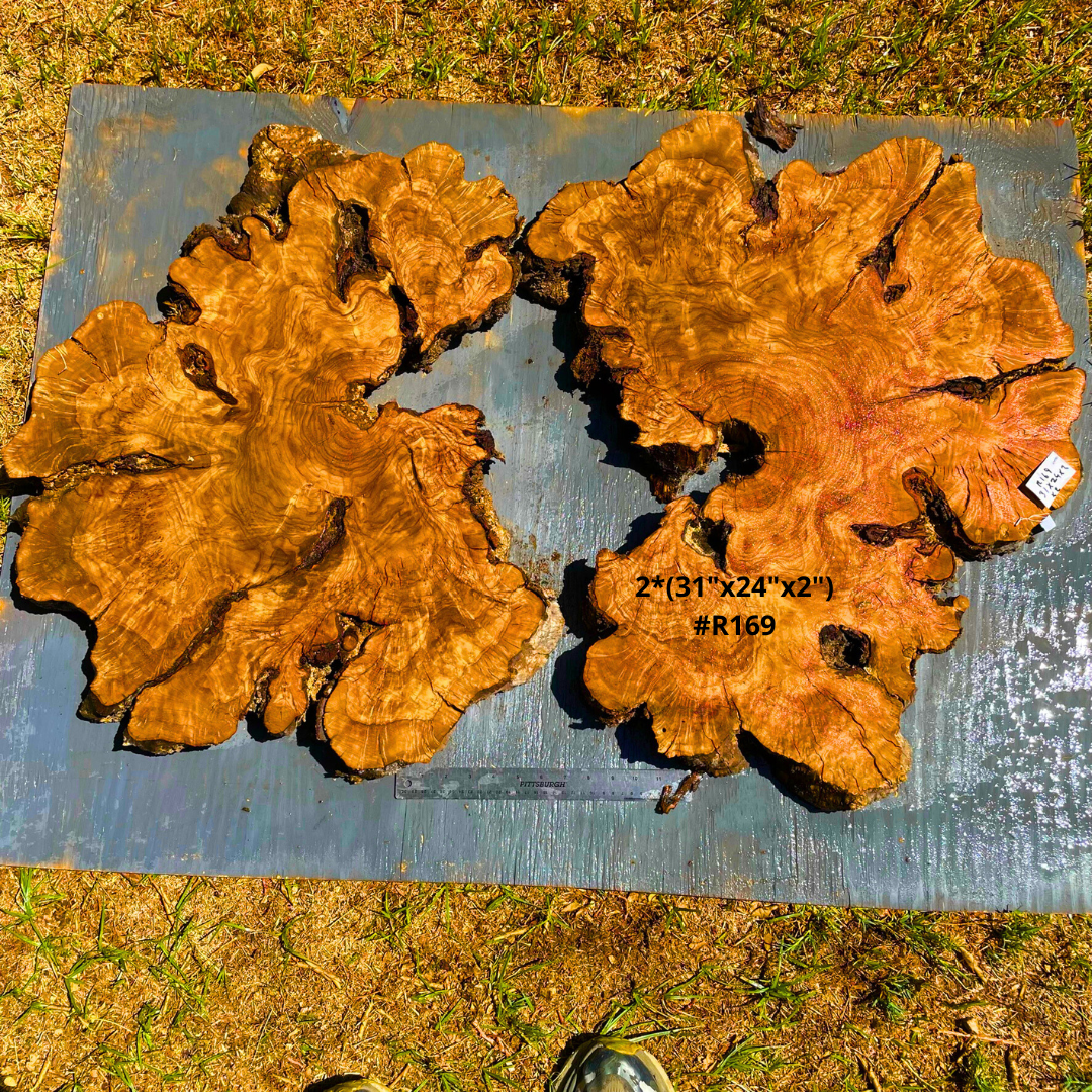 Olive Wood Cookies 48"x31"x2" #R169