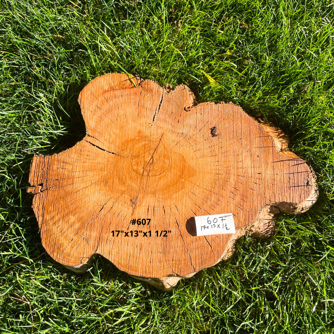 #607 17"x13"x1 1/2"