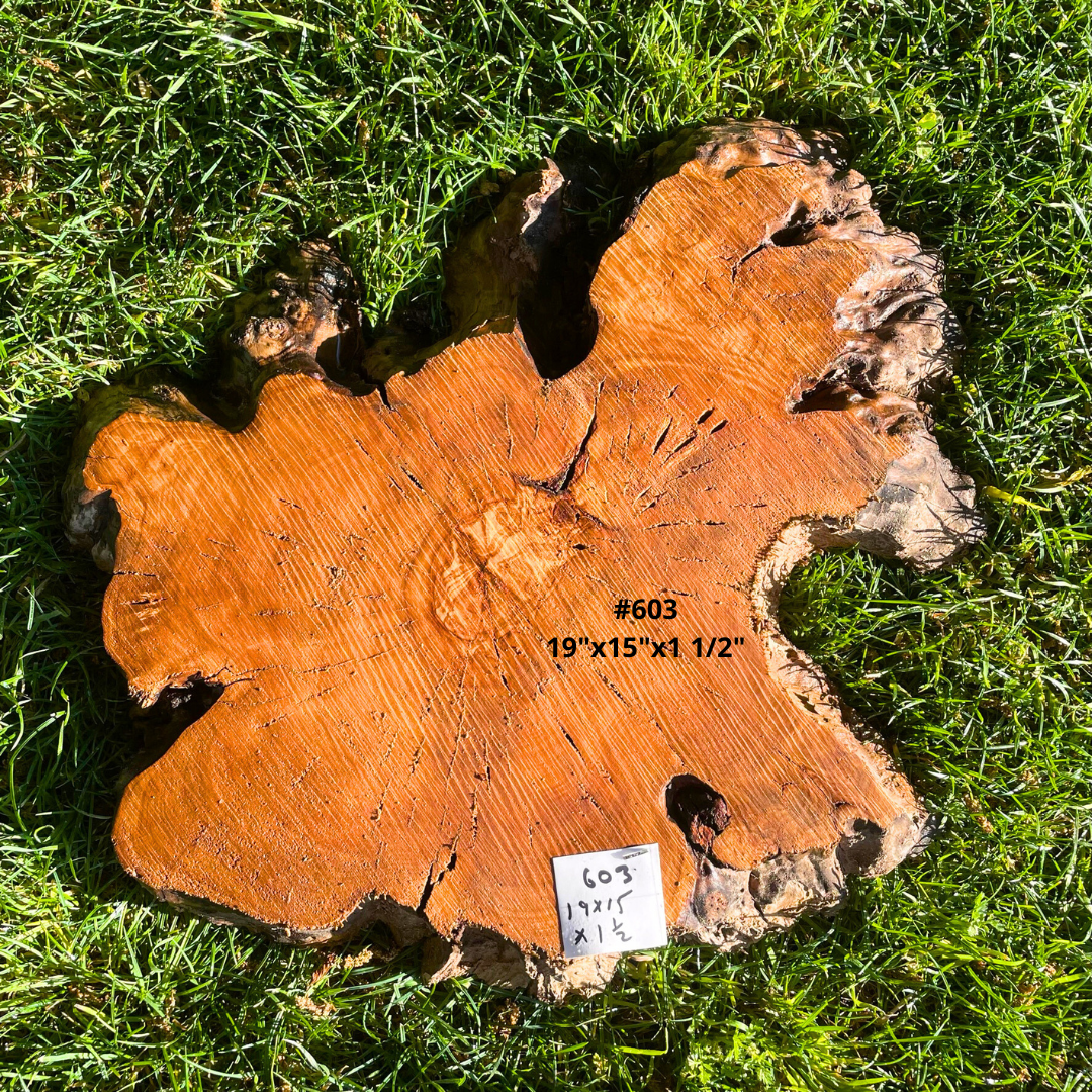 #603 19"x15"x1 1/2"