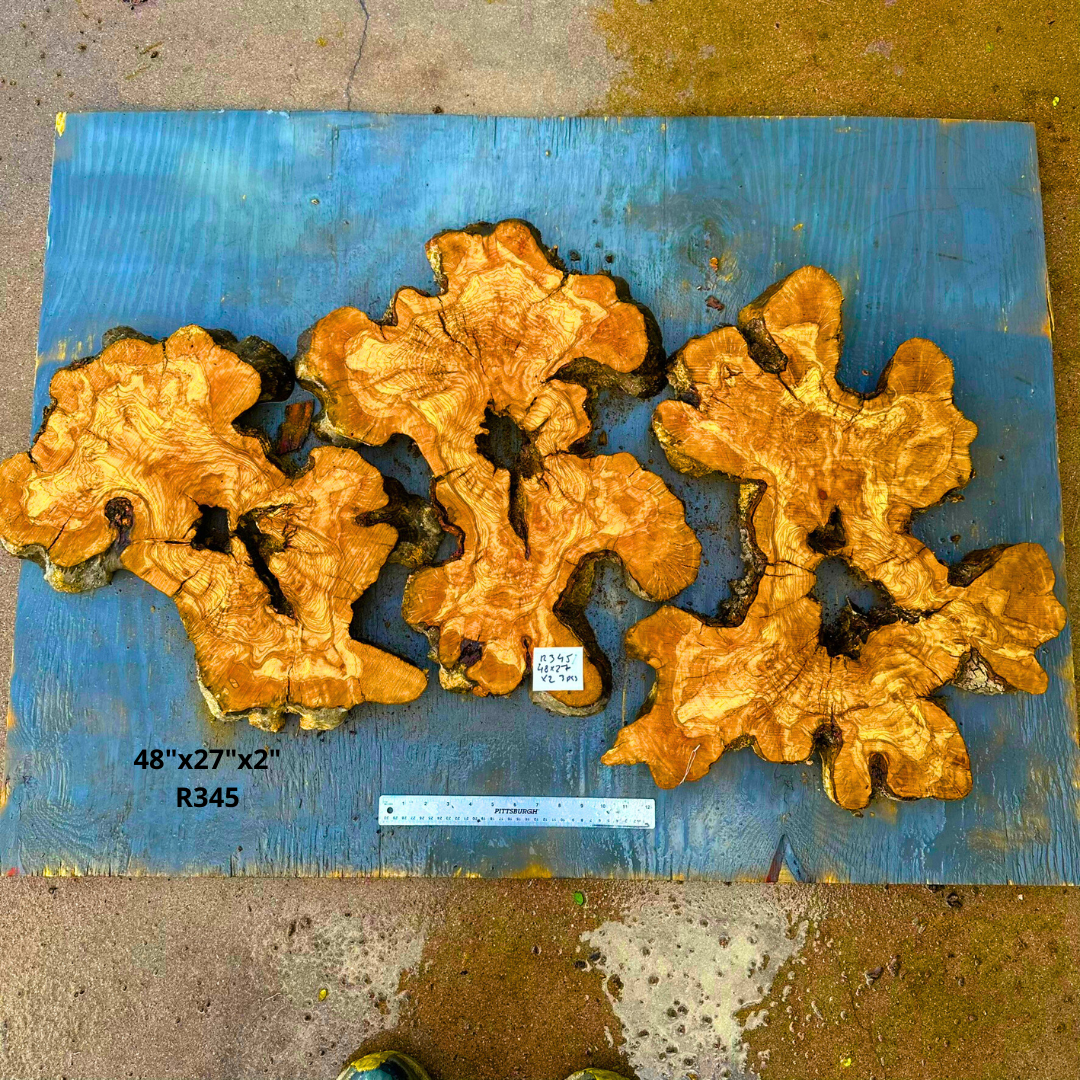 Set of 3 Cookies - 48"x27"x2" R345