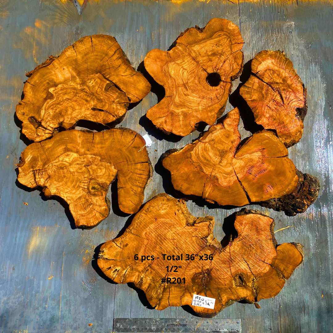 6 Olive Wood Slices - Total 36"x36 1/2" #R201