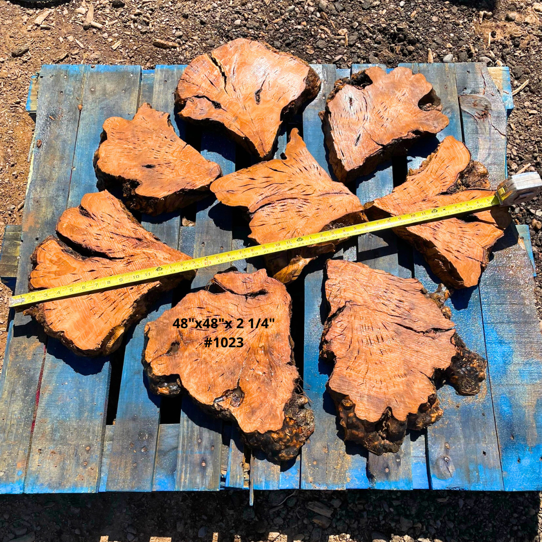 48"x2 1/4" Circular Table Kit