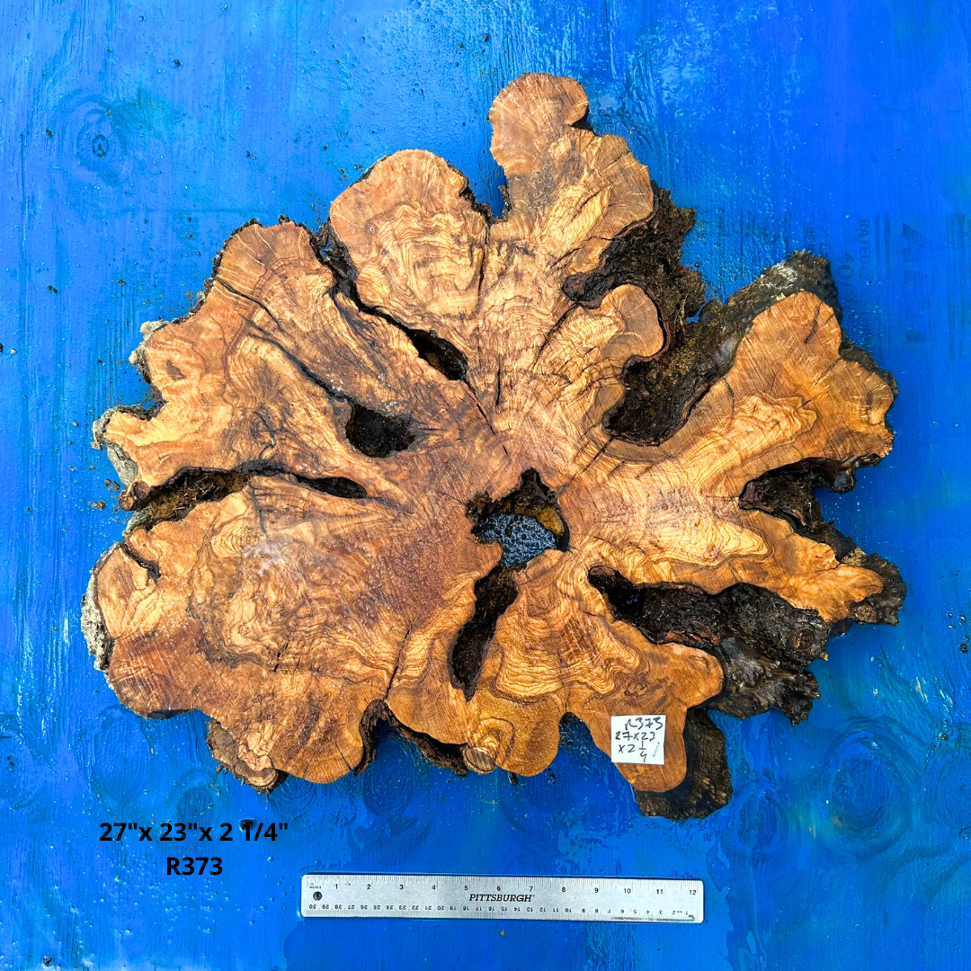 Large Olive Slice 27"x 23"x 2 1/4" R373