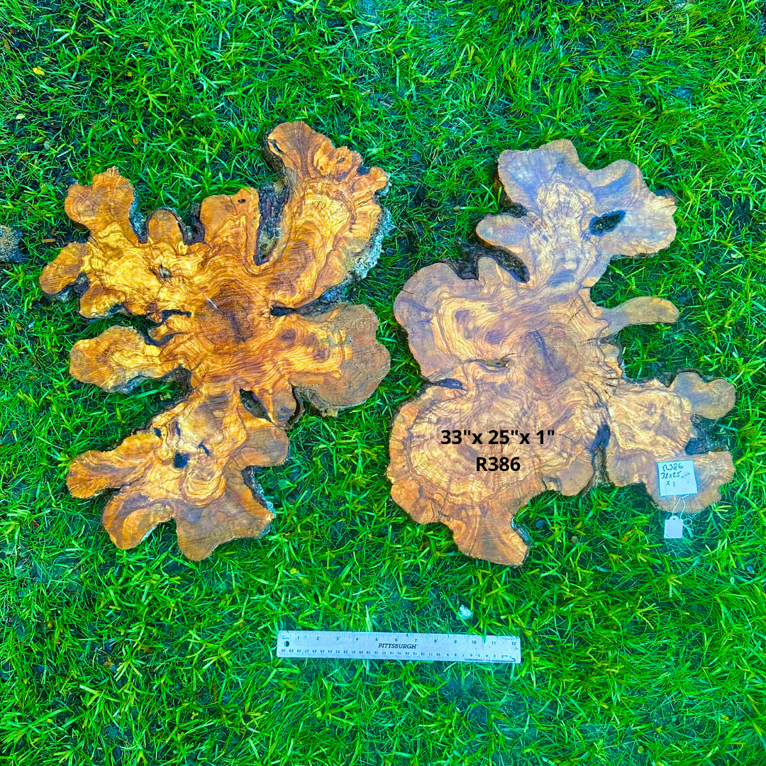 Raw Olivewood Slices 33"x 25"x 1" R386
