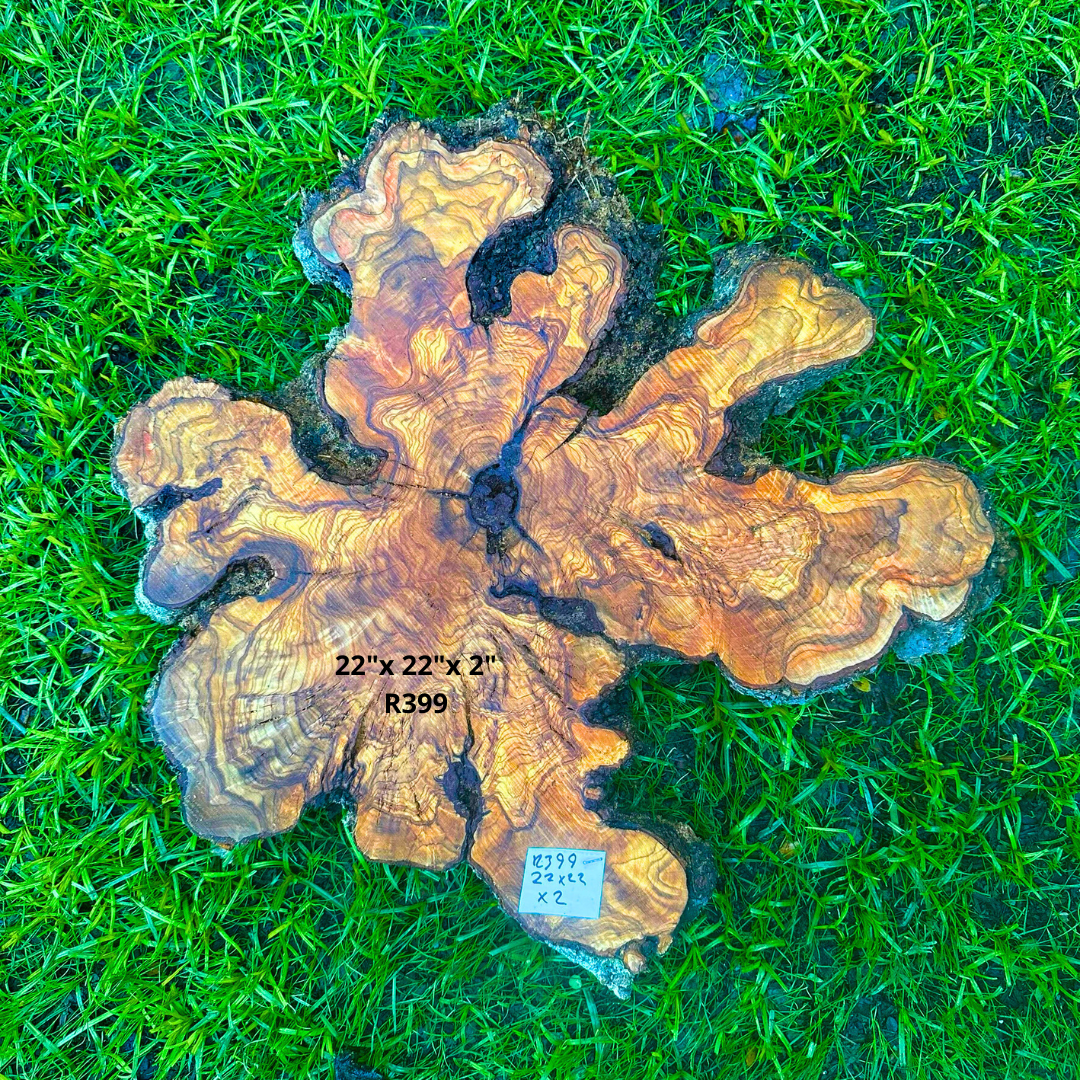 Beautiful Olive Raw Slice 22"x 22"x 2" R399