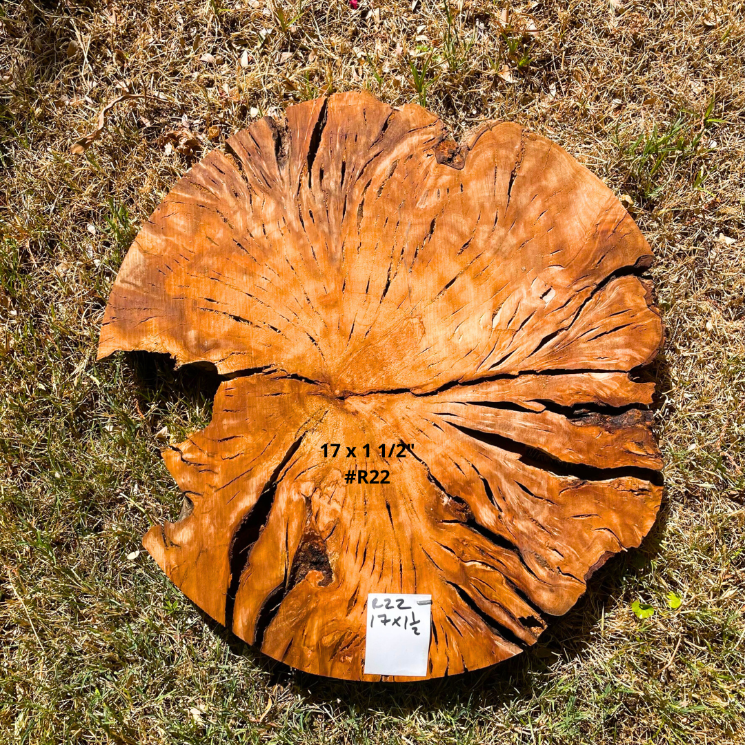 17 x 1 1/2" #R22