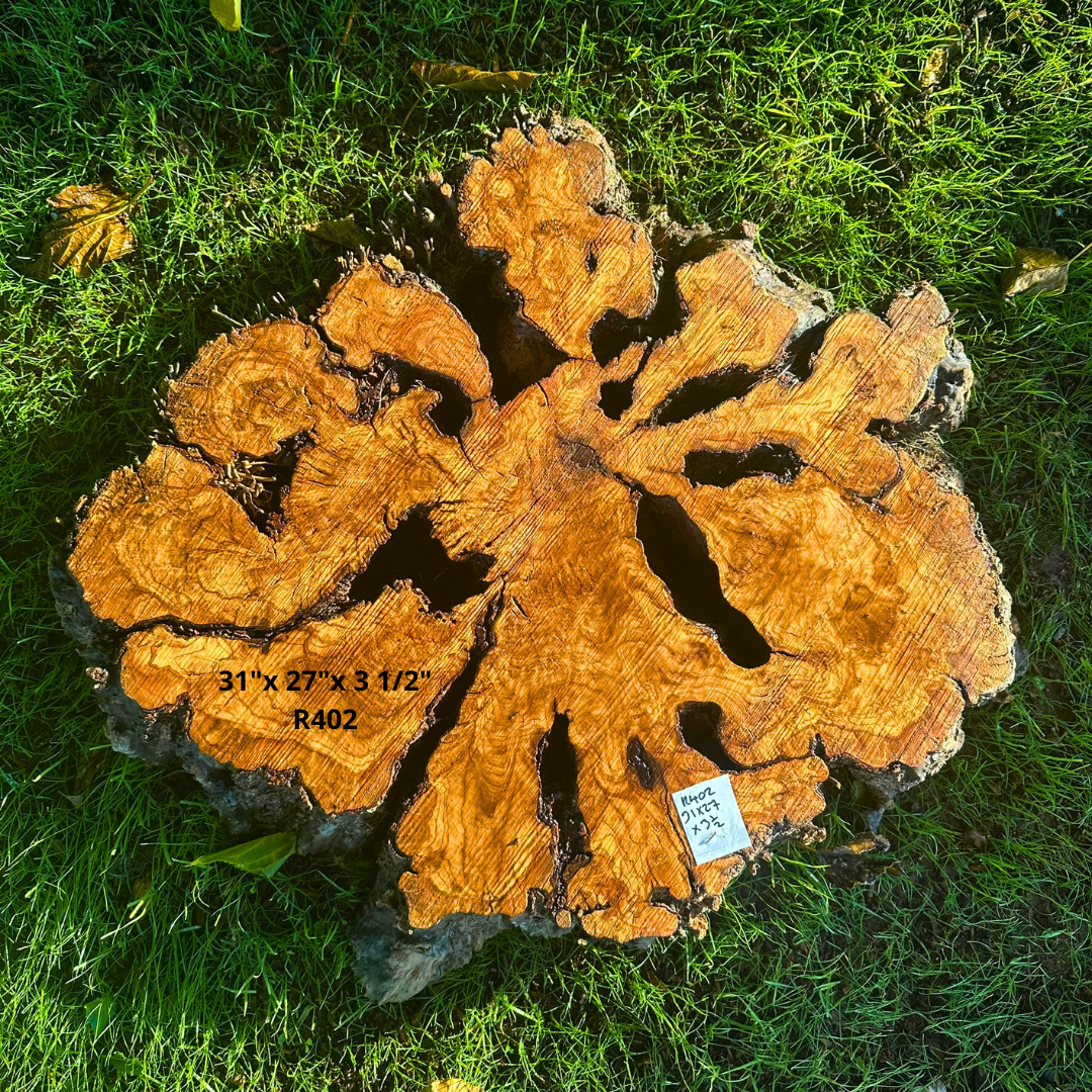 Large Olive Cookie 31"x 27"x 3 1/2" R402