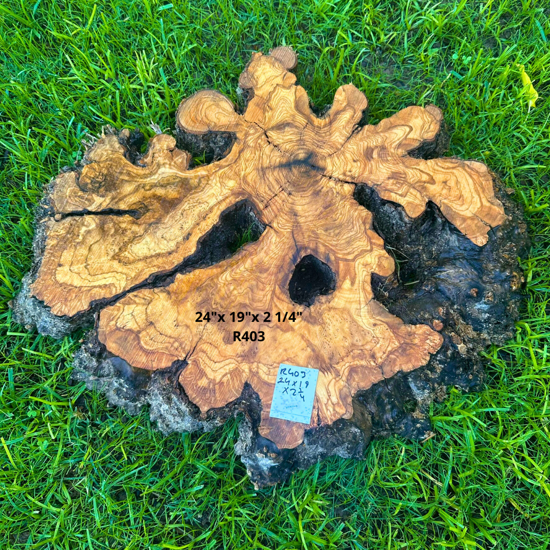 Olivewood Cookie 24"x 19"x 2 1/4" R403