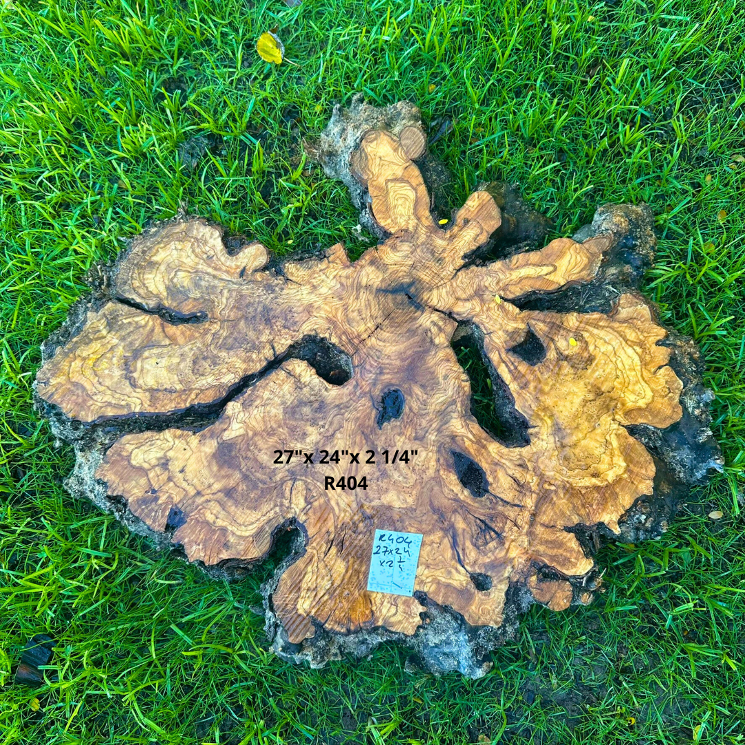 Raw Olive Slice for Crafting 27"x 24"x 2 1/4" R404