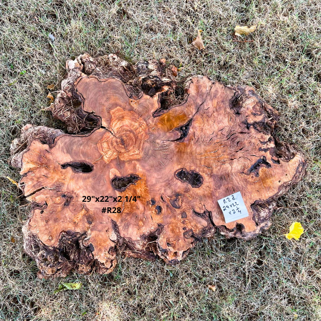 29"x22"x2 1/4" #R28