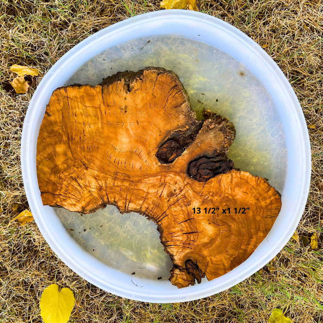 Olive Wood 13 1/2" x 1 1/2" Resin Kits Including Re-usable Silicon Mold