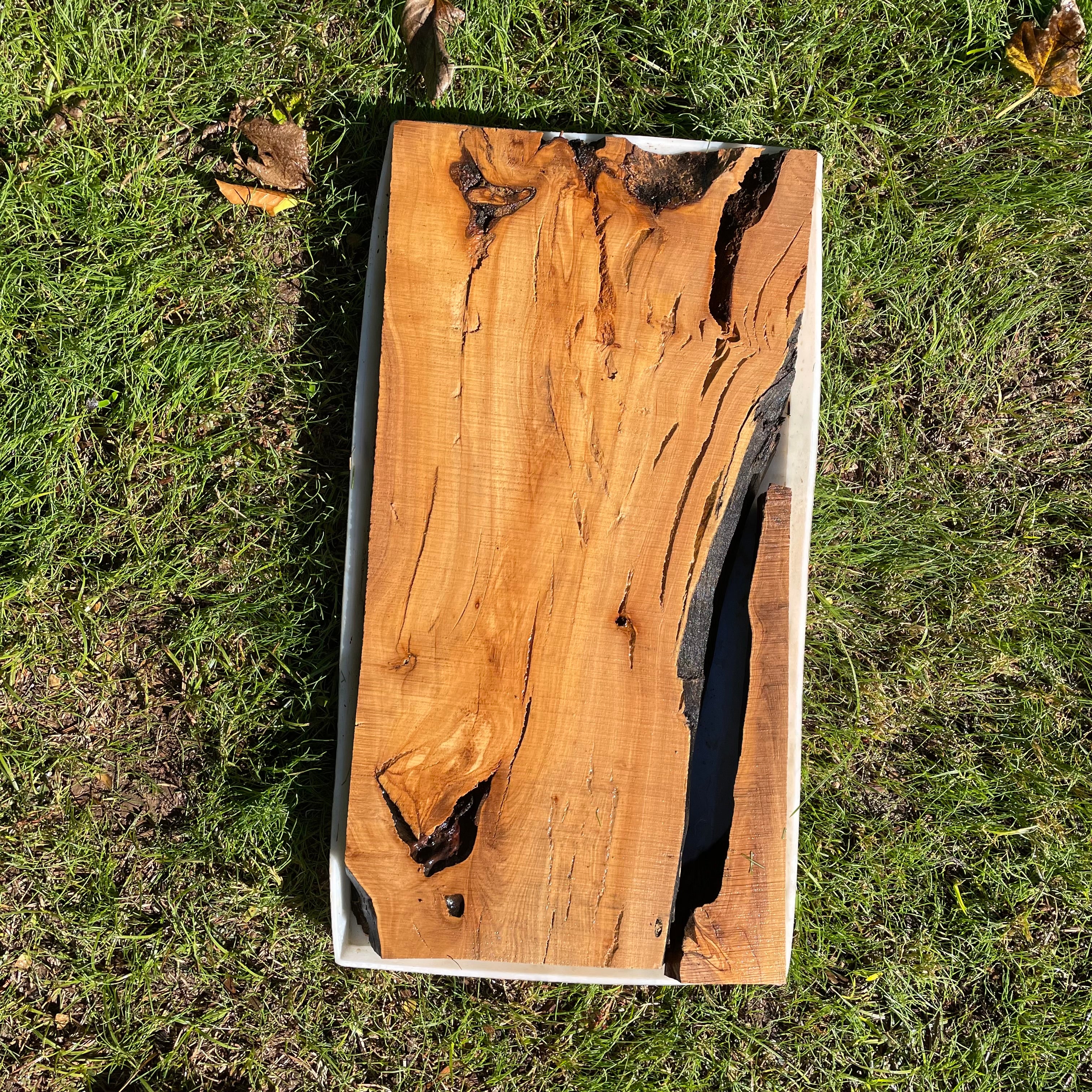 Rectangular Olive Wood Kits with Mold for Live Edge Resin Projects