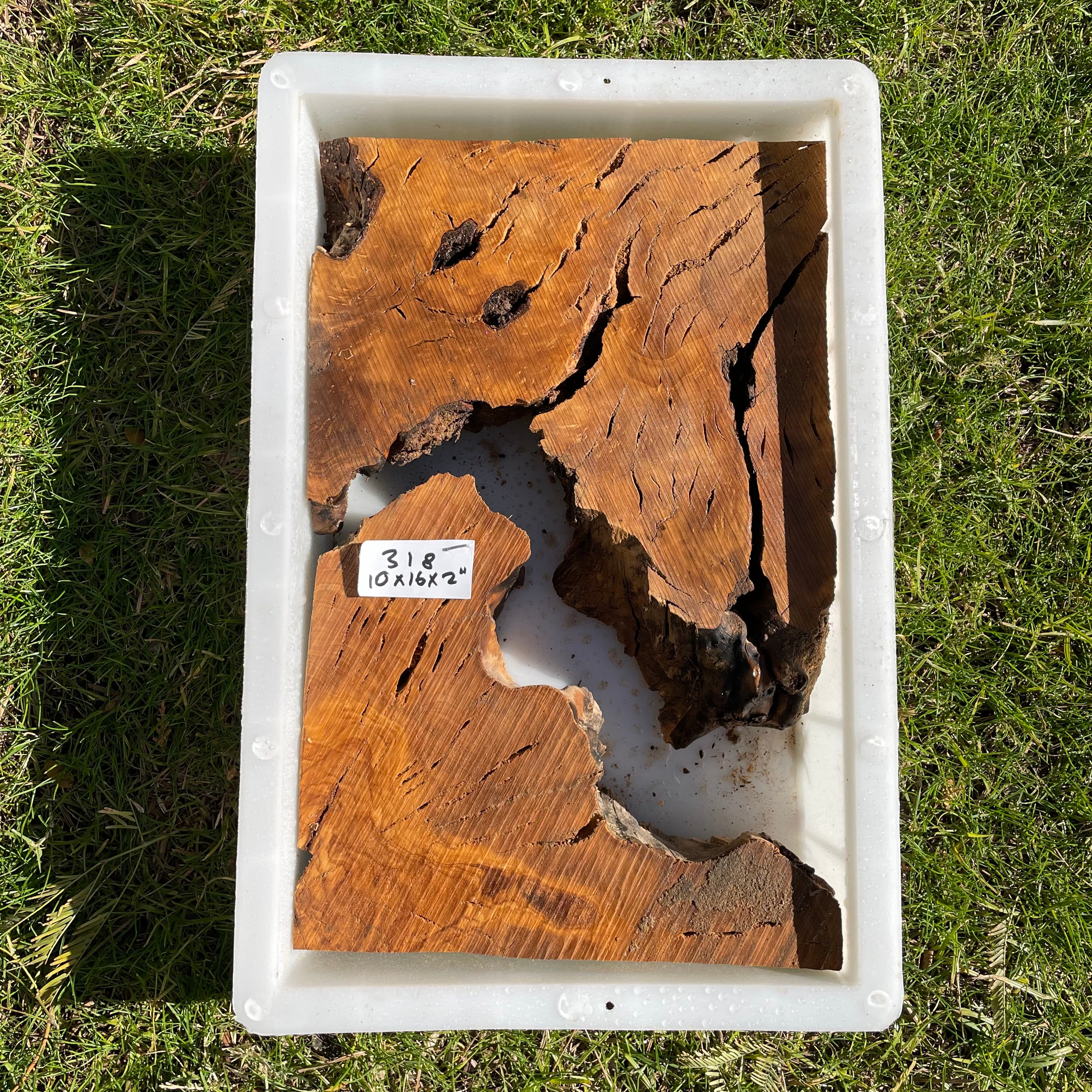 Rectangular Olive Wood Kits with Mold for Live Edge Resin Projects