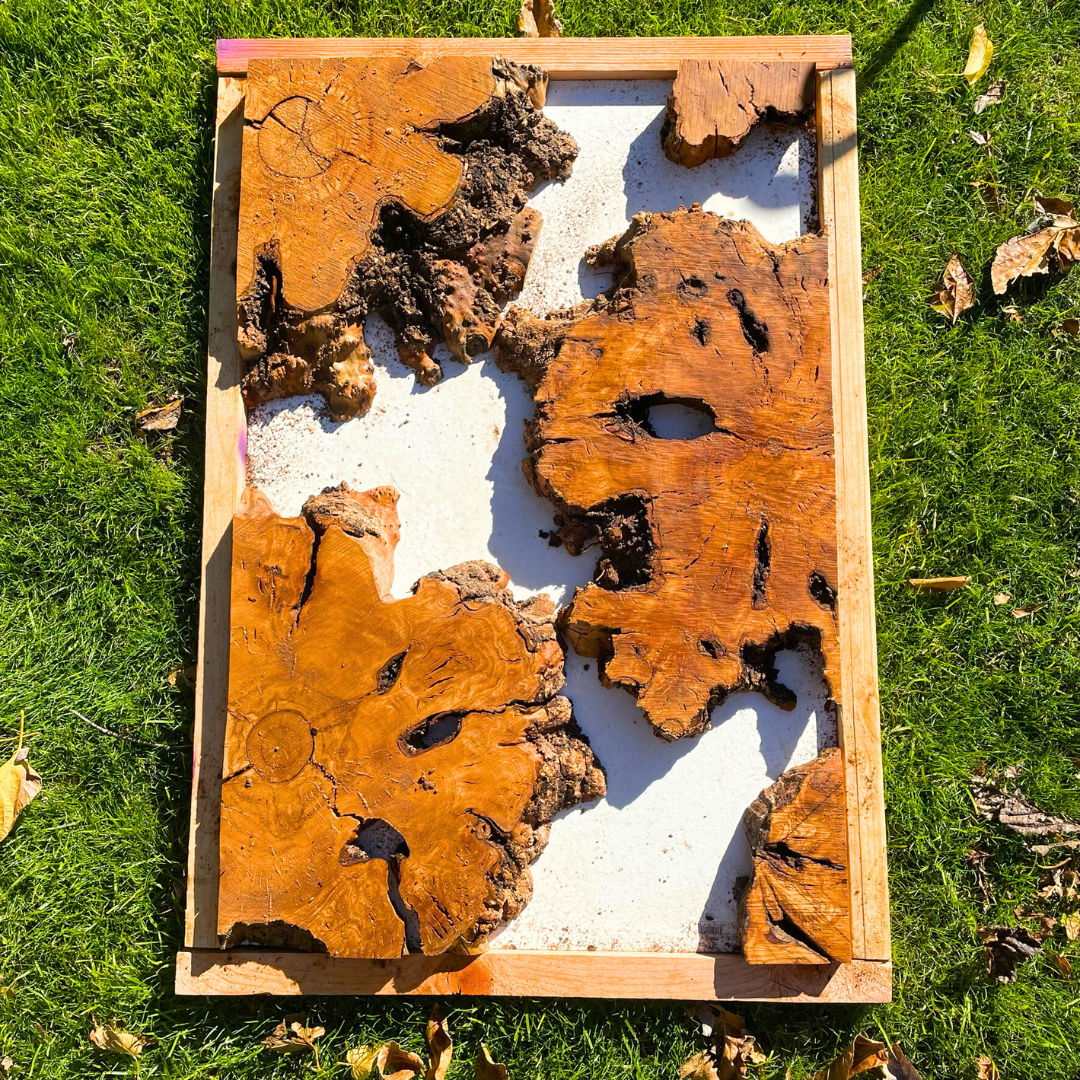 Olive Wood Pre-Cut Burl Pieces for Resin Live Edge Table 24”x36”