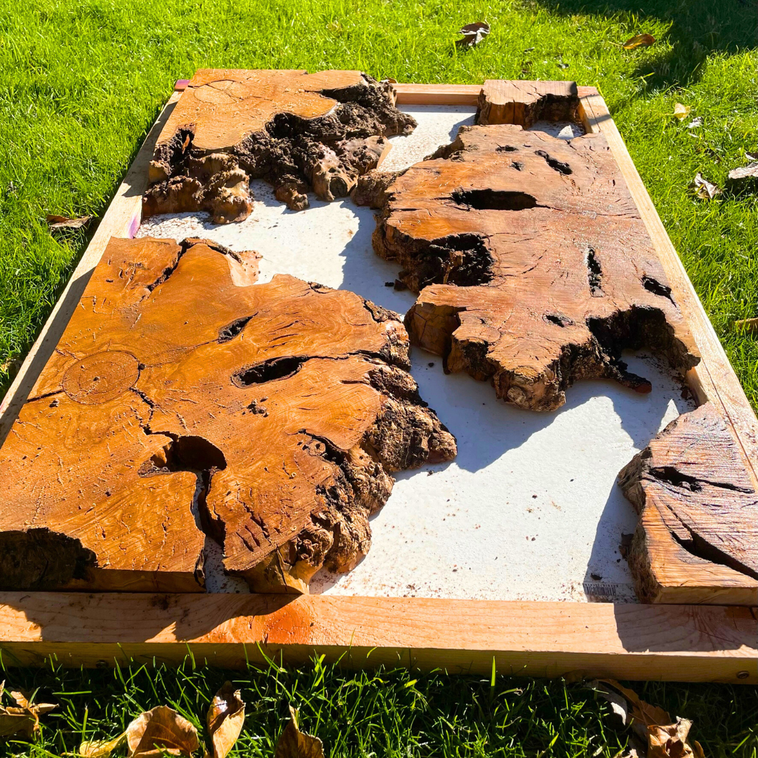 Olive Wood Pre-Cut Burl Pieces for Resin Live Edge Table 24”x36”