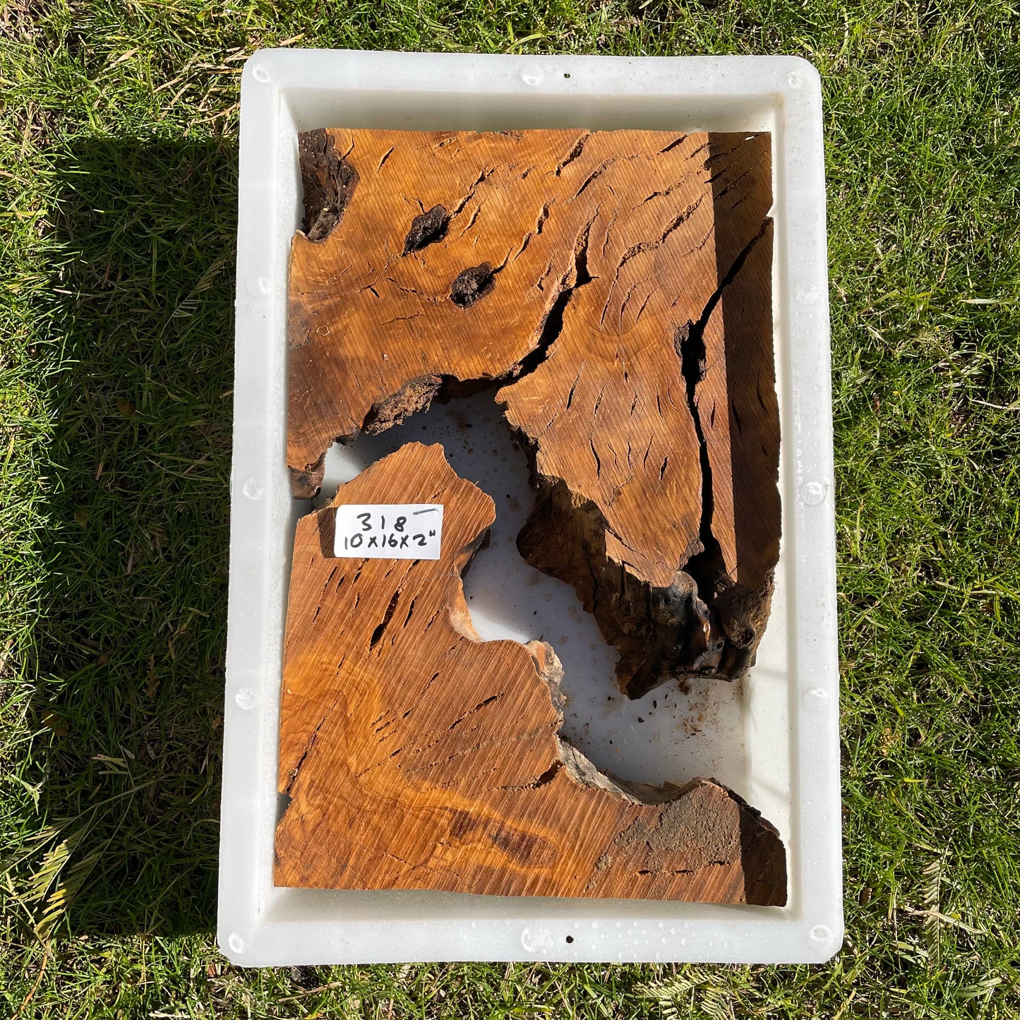 Rectangular Olive Wood Kits with Mold for Live Edge Resin Projects