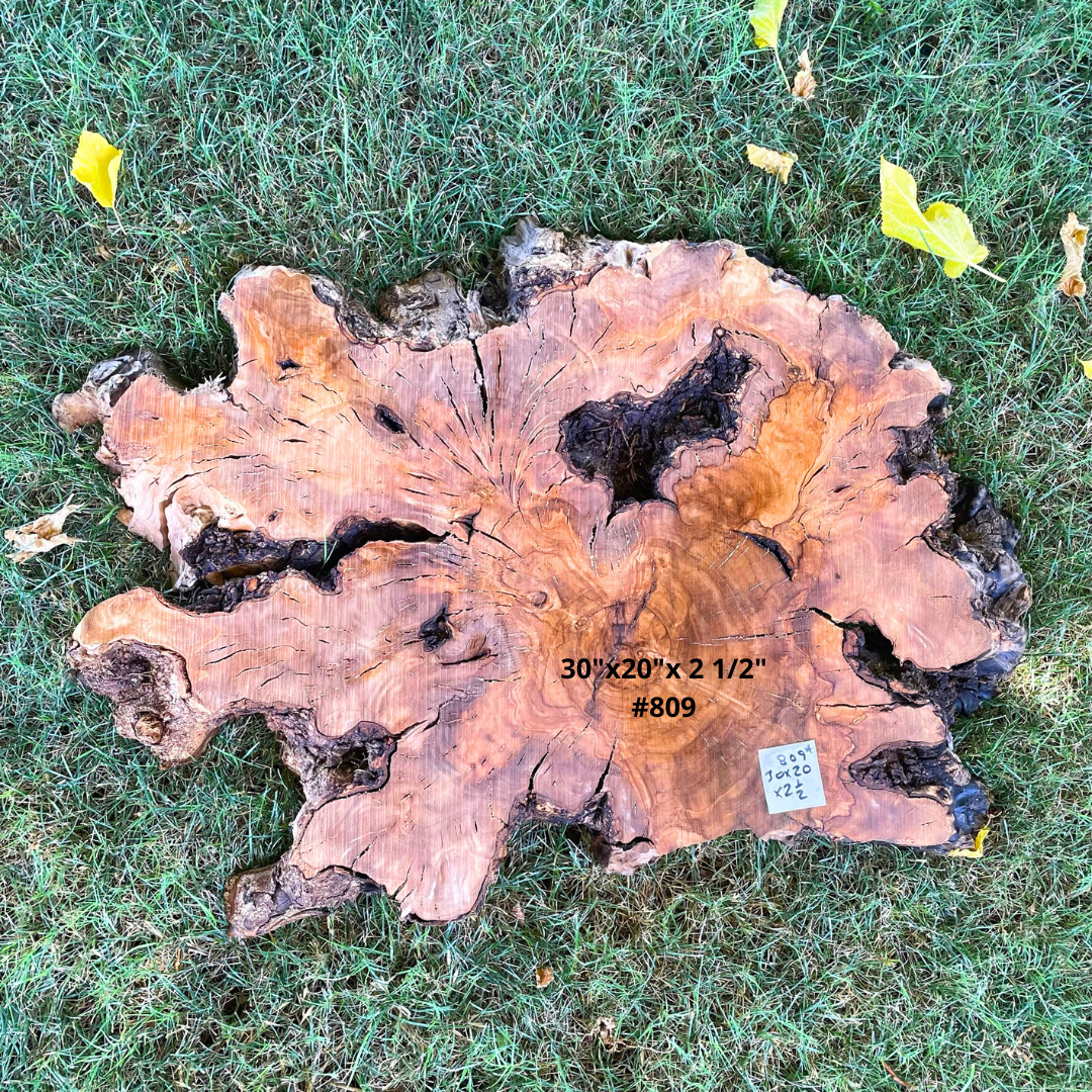 30"x20"x 2 1/2" #809