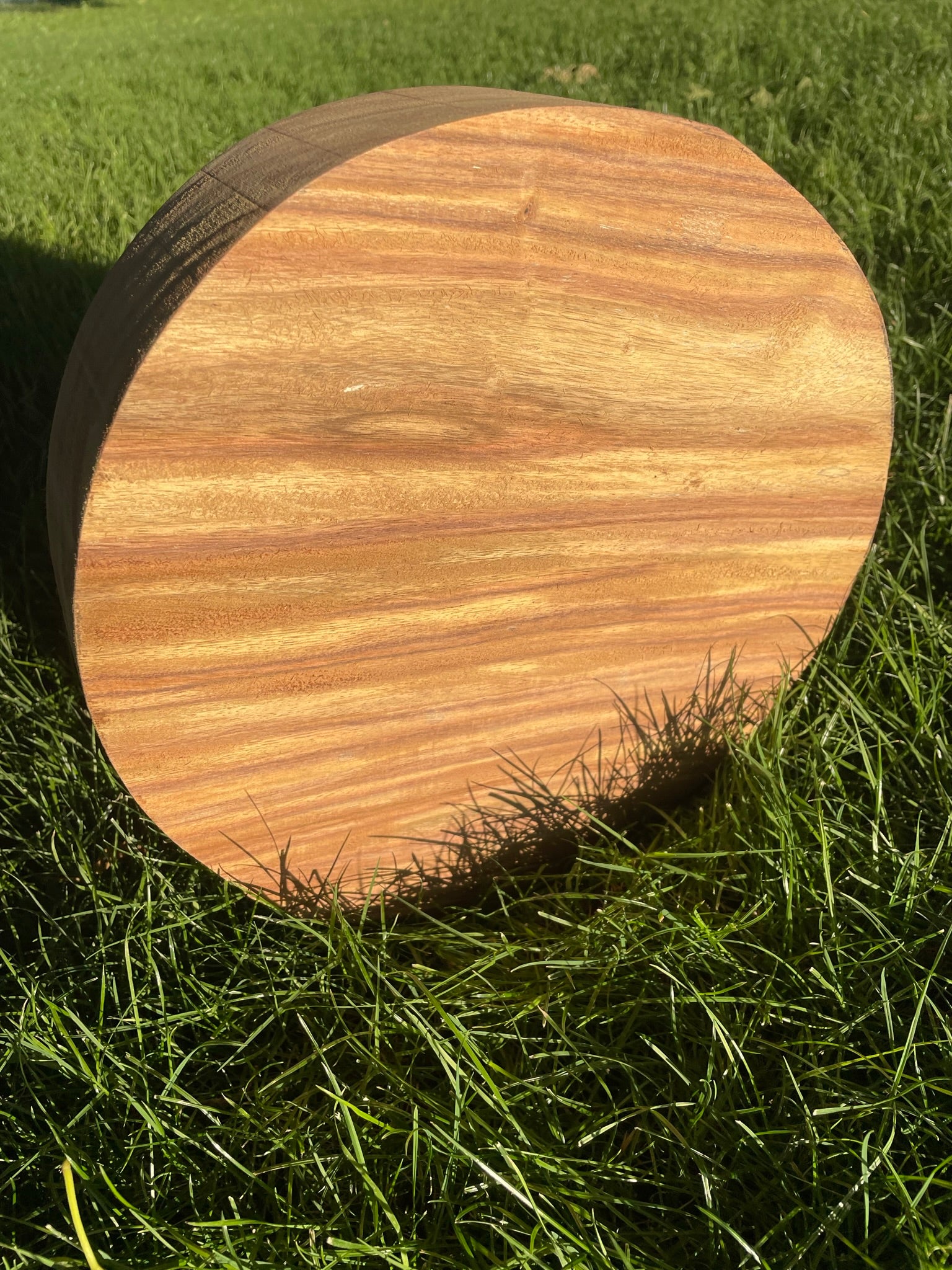 Indian Rosewood Bowl Blanks for turning wood Desert Hardwoods