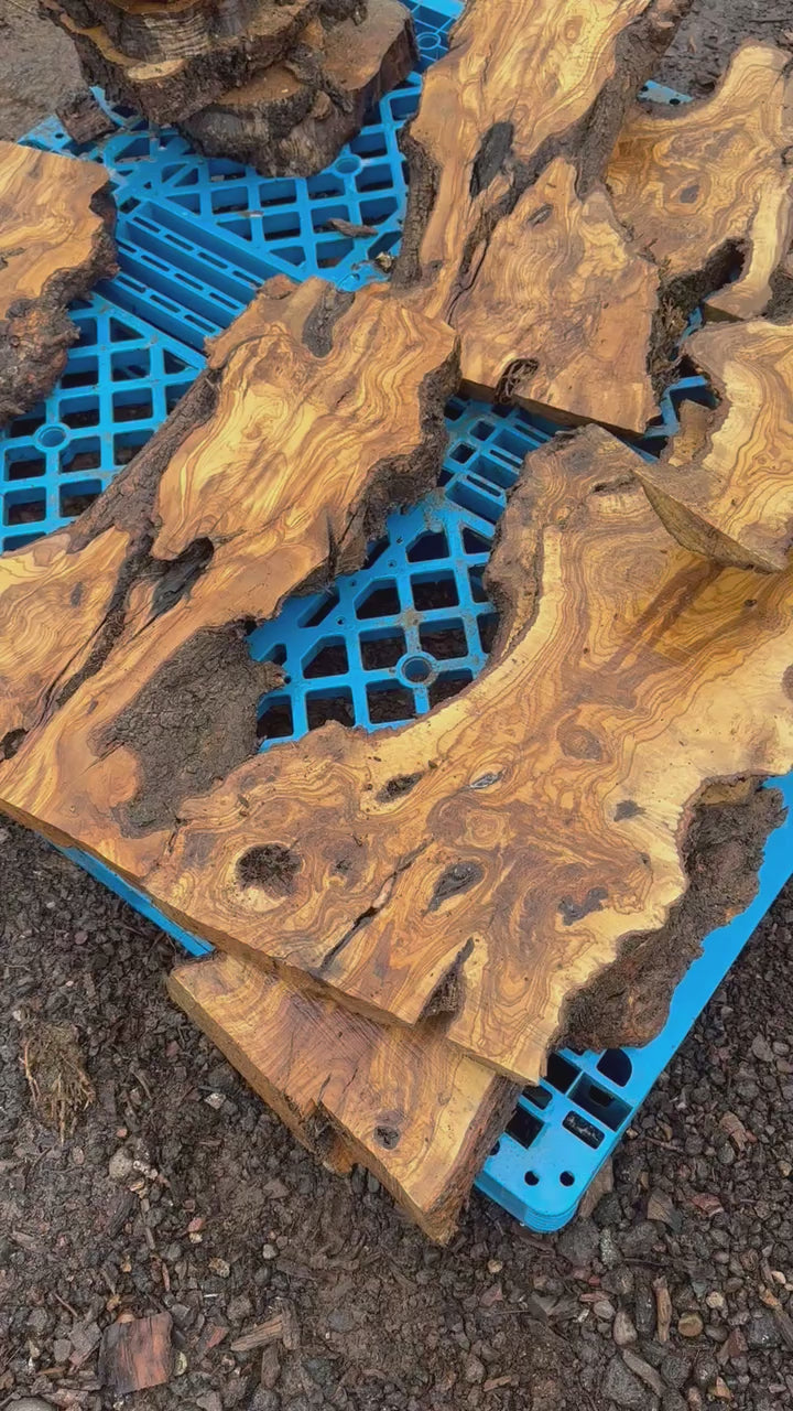 Olive Wood Slabs