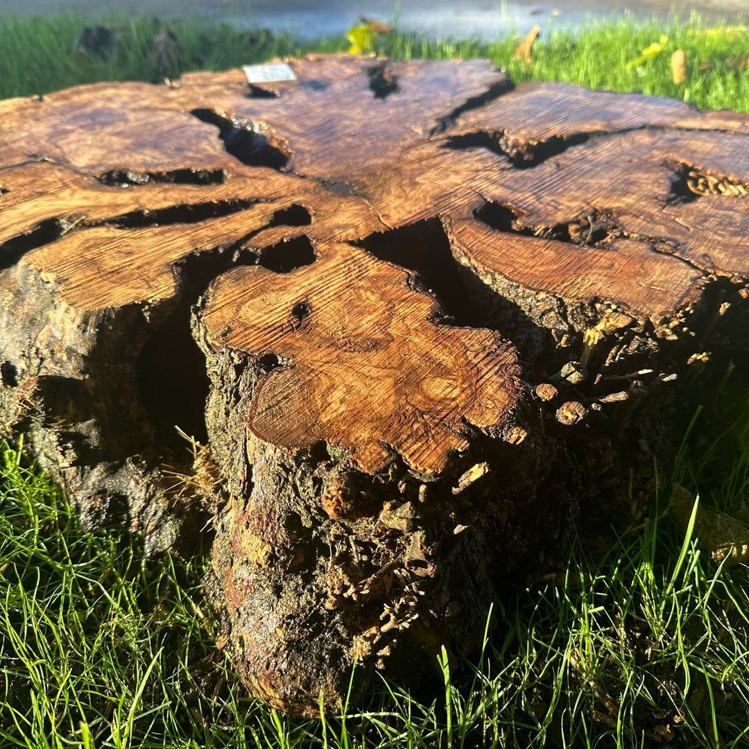 What are the best finishes to use for Olive Wood?