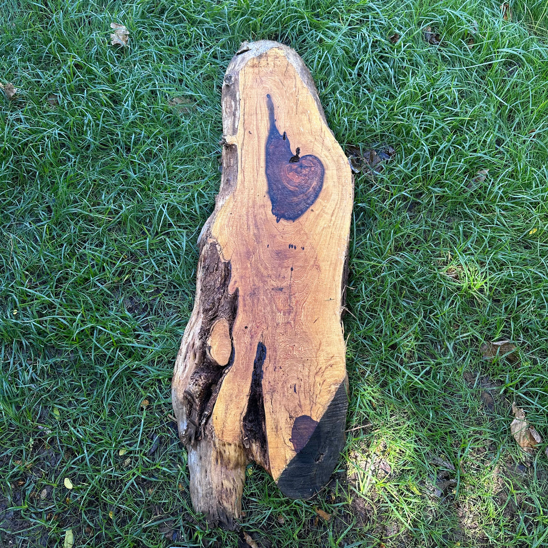 Desert Ironwood 56x15x2” T392
