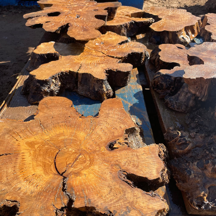 Small Olive Wood Cookies