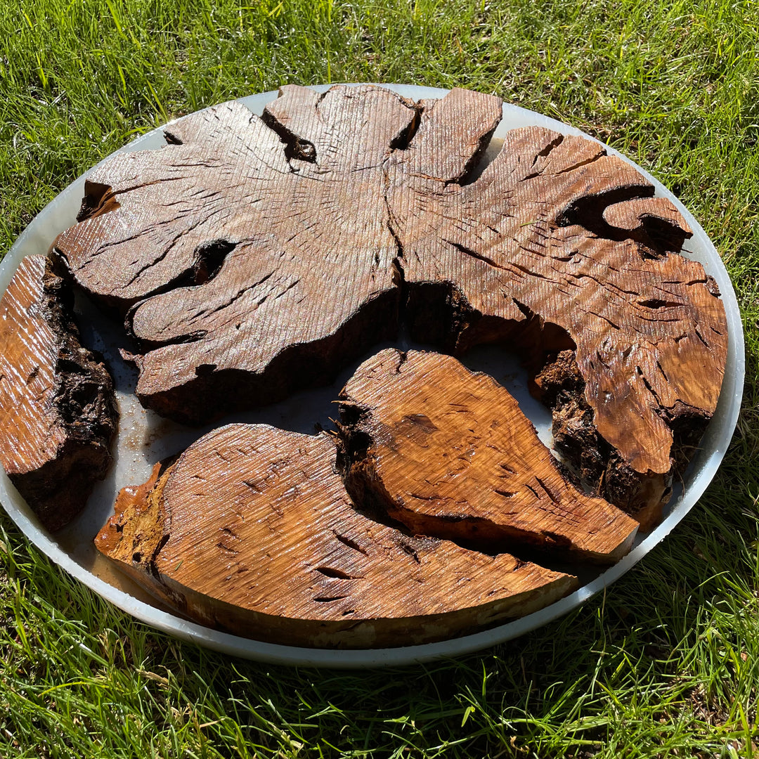 Circular Olive Wood Burl Live Edge Pre Cut KITS