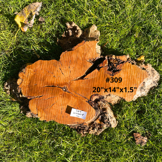 #309- 20"x 14"x 1.5"