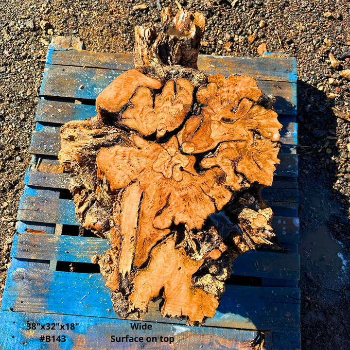 Olive Wood Table Base 38"x32"x18" #B143