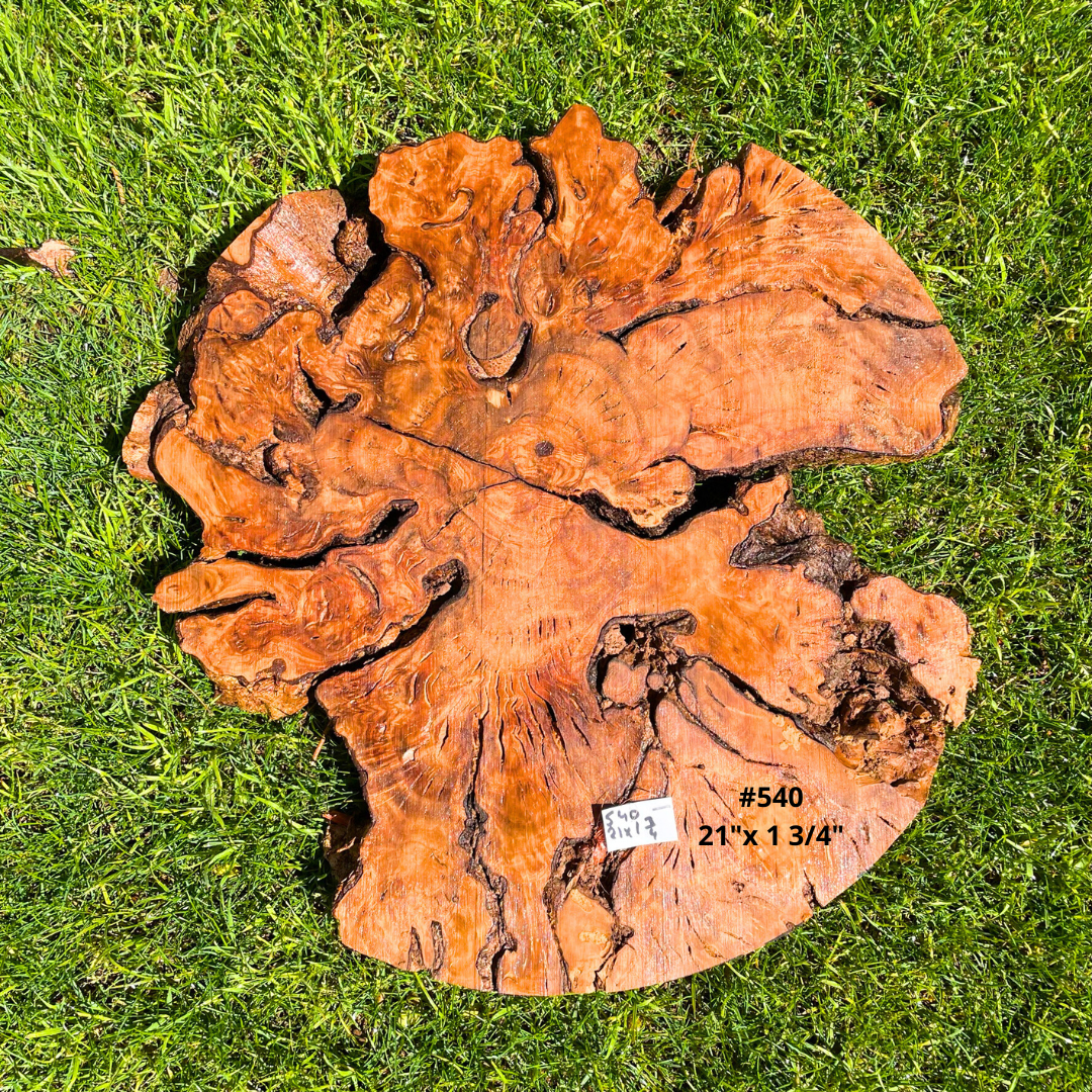 Circular Olive Wood Burl Live Edge Pre Cut KITS