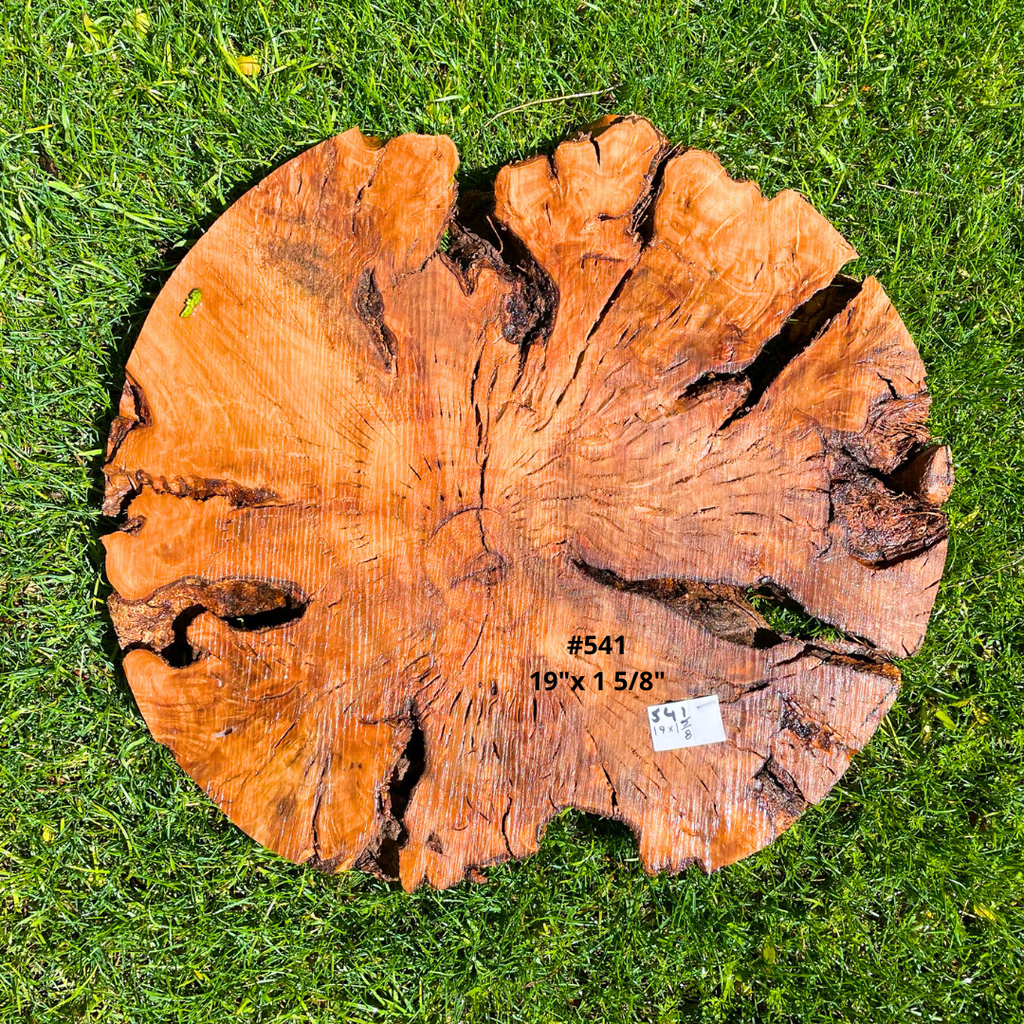 Circular Olive Wood Burl Live Edge Pre Cut KITS