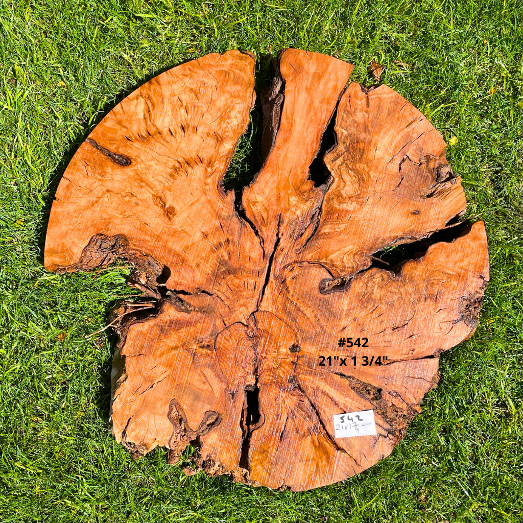 Circular Olive Wood Burl Live Edge Pre Cut KITS