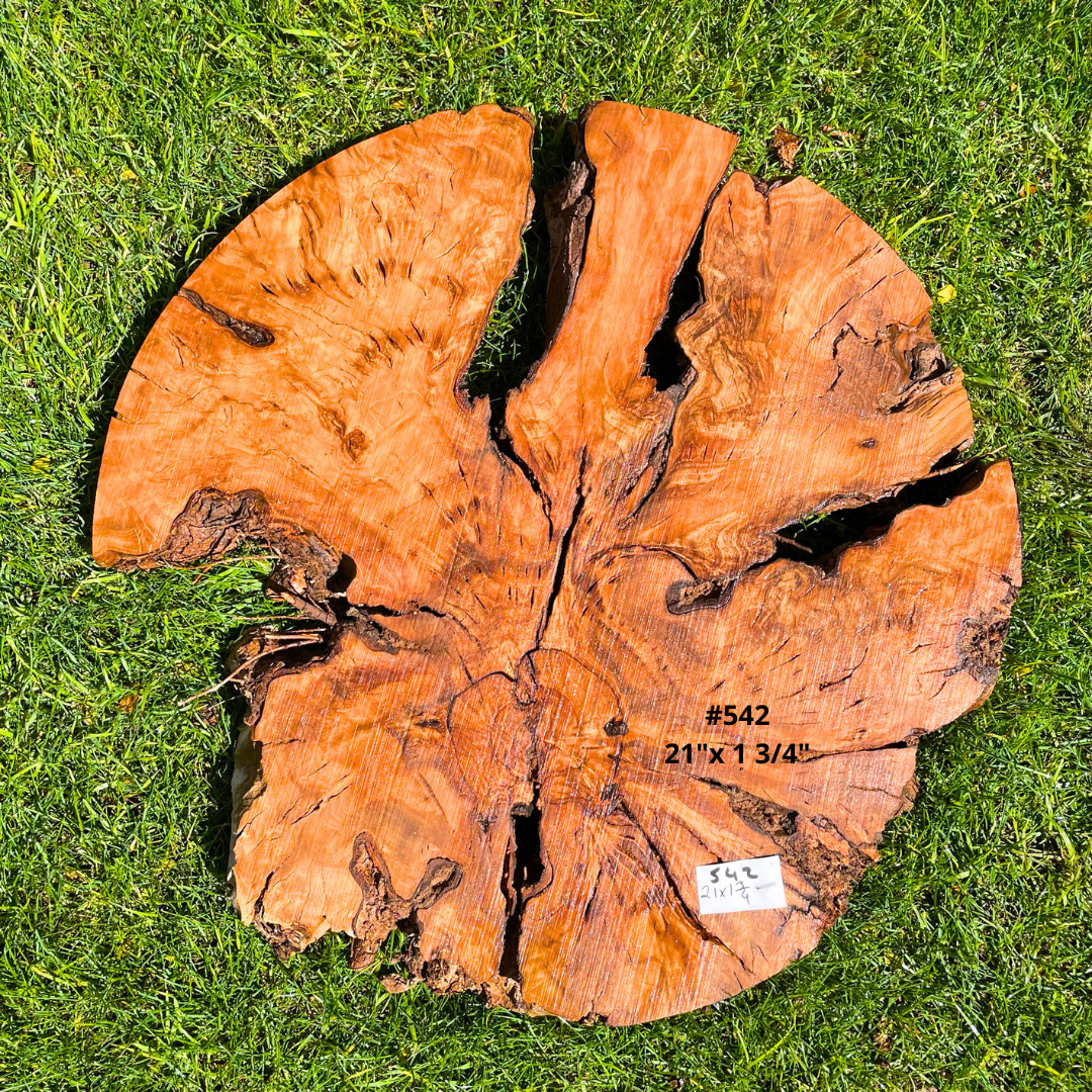 Circular Olive Wood Burl Live Edge Pre Cut KITS