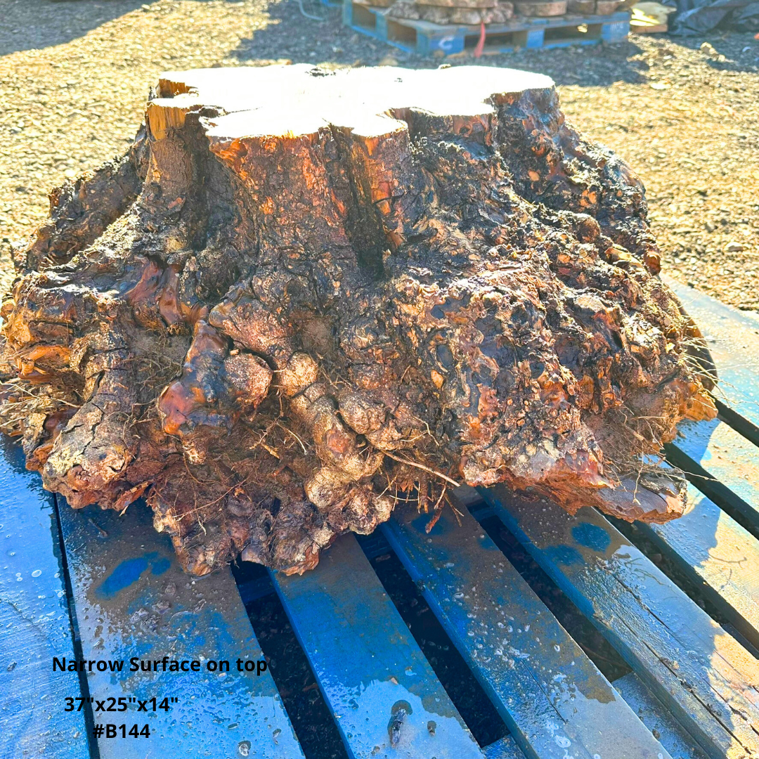 Olive Wood Table Base 37"x25"x14" #B144