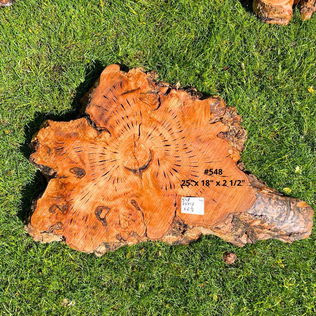 #548 25"x 18" x 2 1/2"