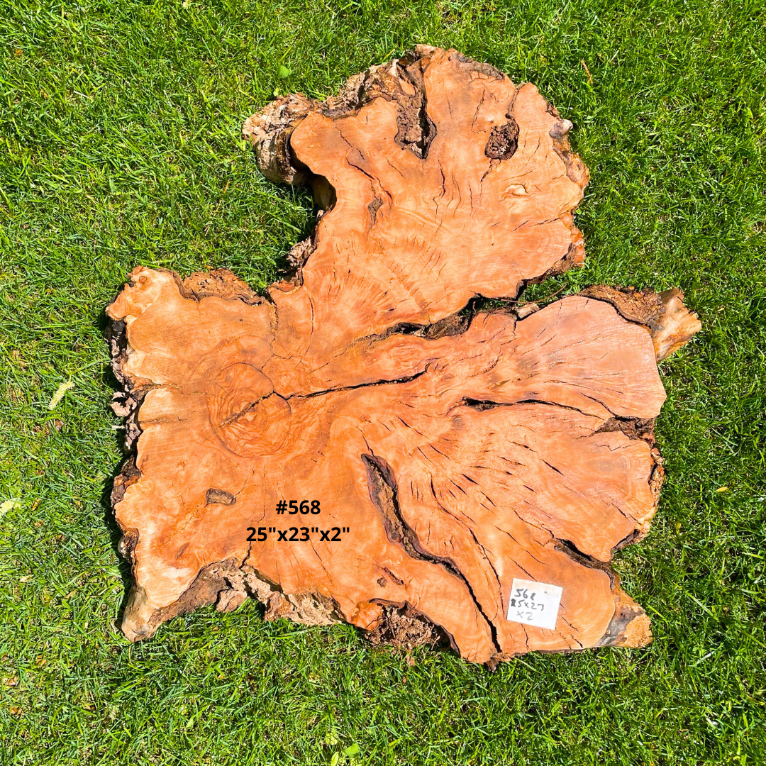 #568 25"x23"x2"