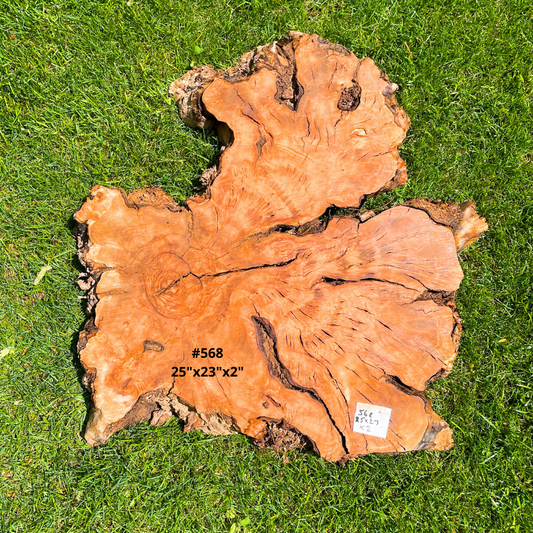 #568 25"x23"x2"