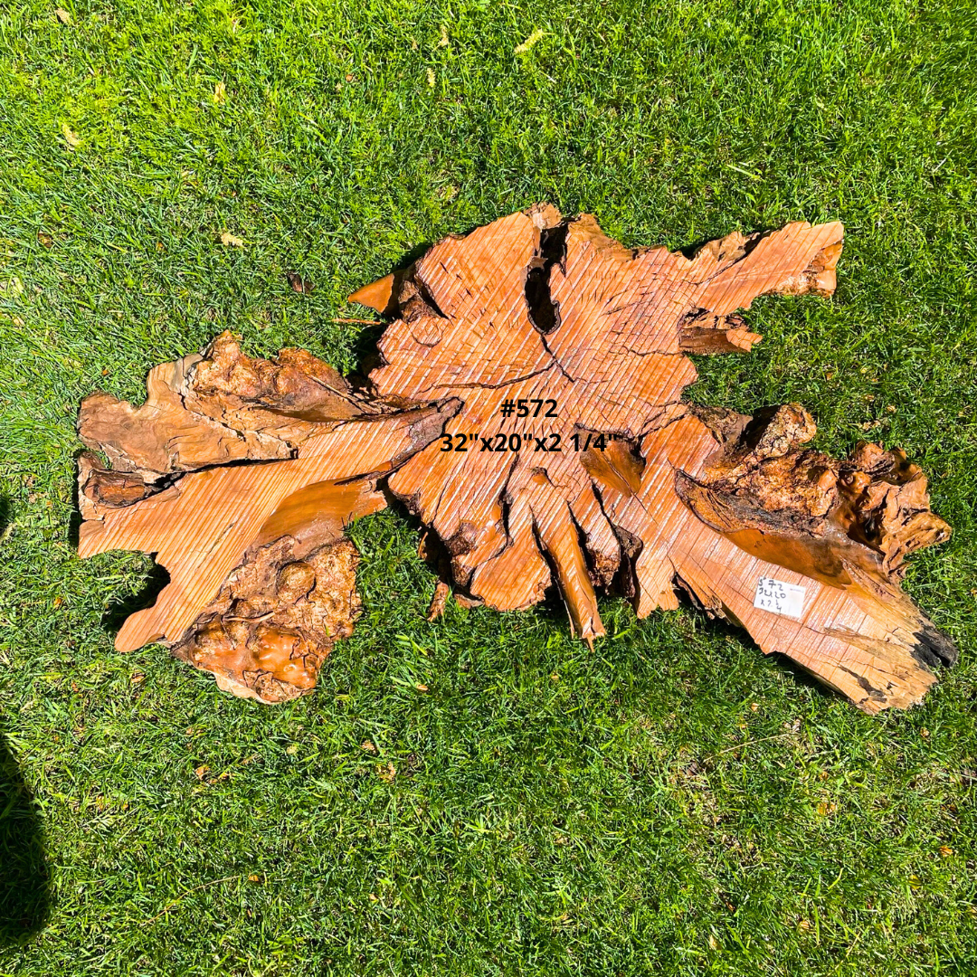 #572 32"x20"x2 1/4