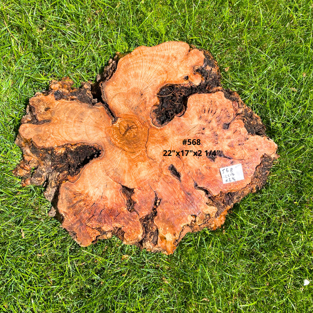 Olive Wood, Hardwood, Live Edge Cookie, Resin Table, Olive Slab