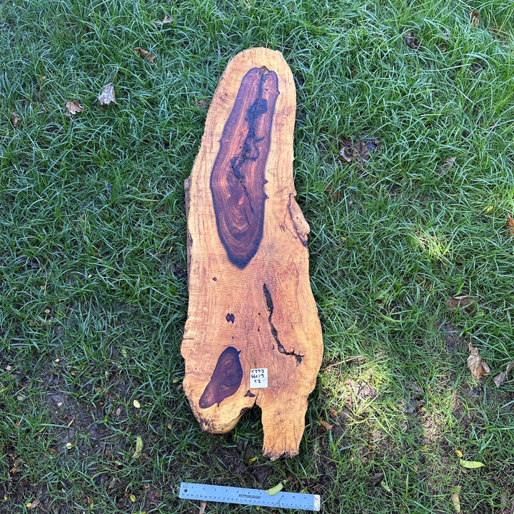 Desert Ironwood 56x15x2” T392