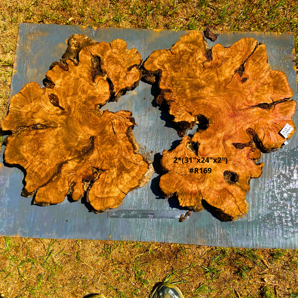 Olive Wood Cookies 48"x31"x2" #R169