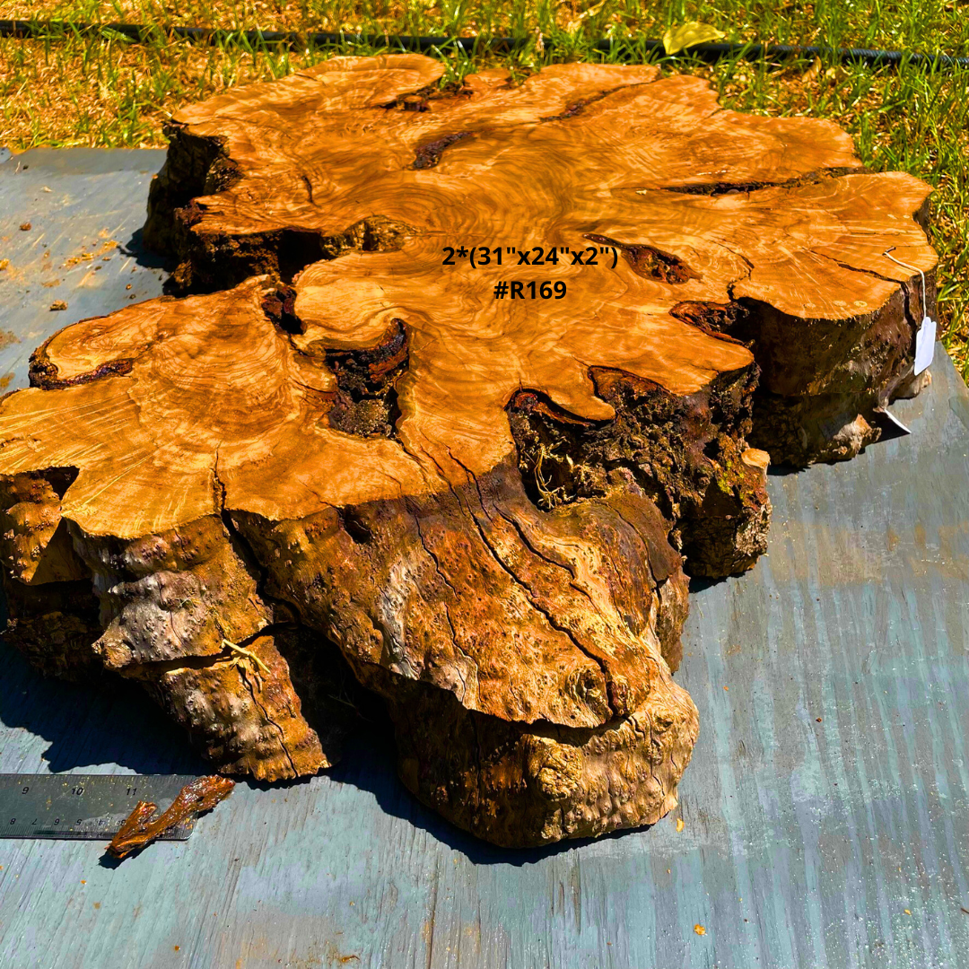 Olive Wood Cookies 48"x31"x2" #R169