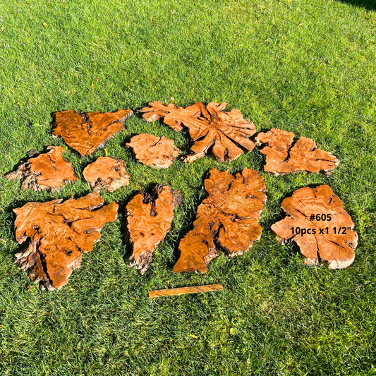 #605 10pcs x1 1/2"