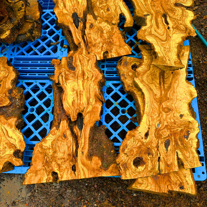 Olive Wood Slabs