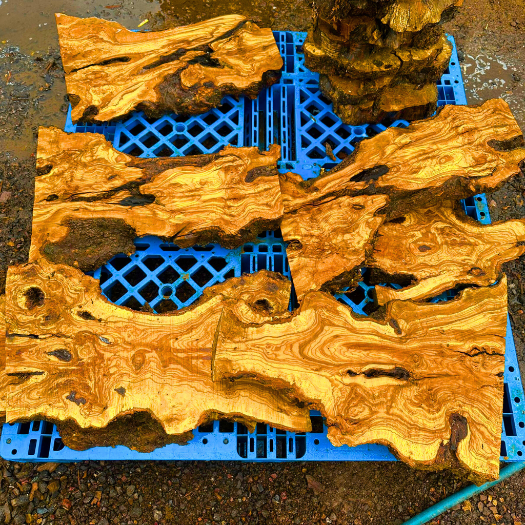 Olive Wood Slabs
