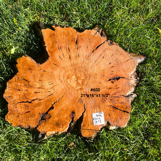 #602 21"x16"x1 1/2"