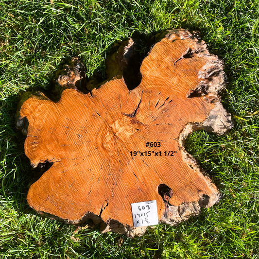 #603 19"x15"x1 1/2"