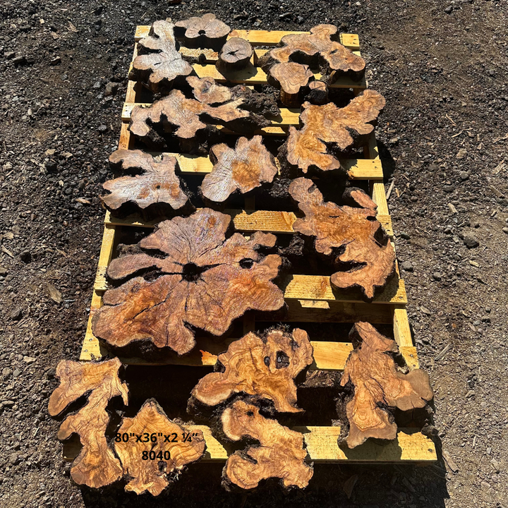 Olive Wood Slices for Dining Table 80"x36"x2 ¼“ 8040